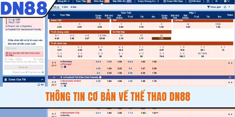 Thông tin cơ bản về thể thao DN88