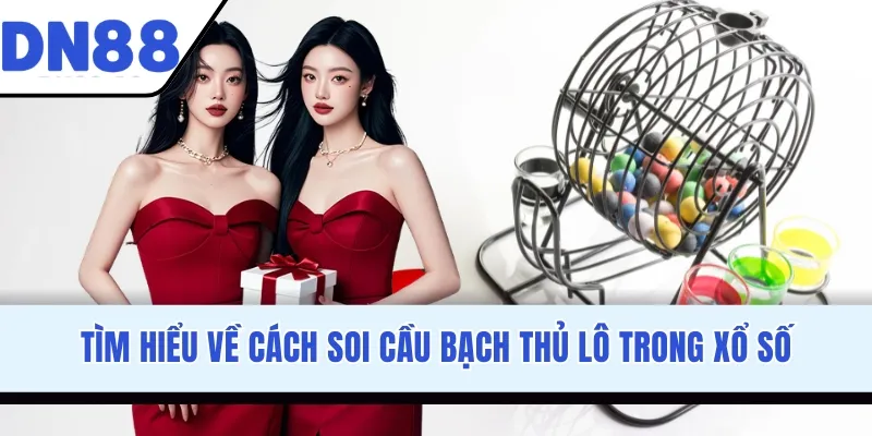Tìm hiểu về cách soi cầu bạch thủ lô trong xổ số